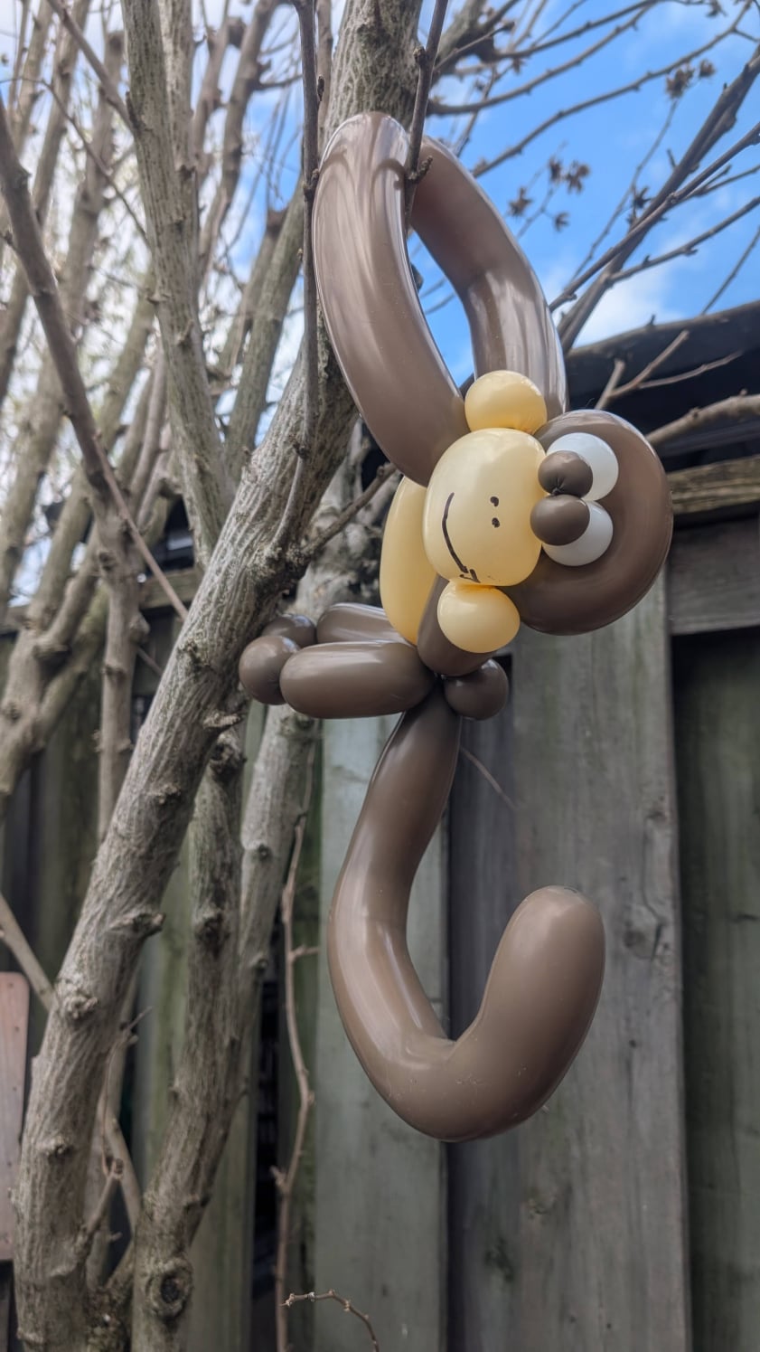 Twisted Balloon Monkey in Hamilton Ontario Tree by Phil the Balloon Guy