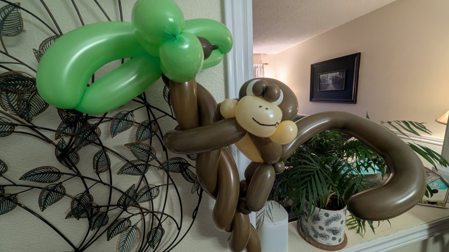 Monkey Balloon Animal Forest Phil BIrthday Party Hamilton ON