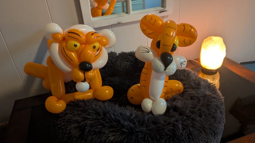 Balloon Animal Tigers in Hamilton Ontario by Phil the Balloon Guy